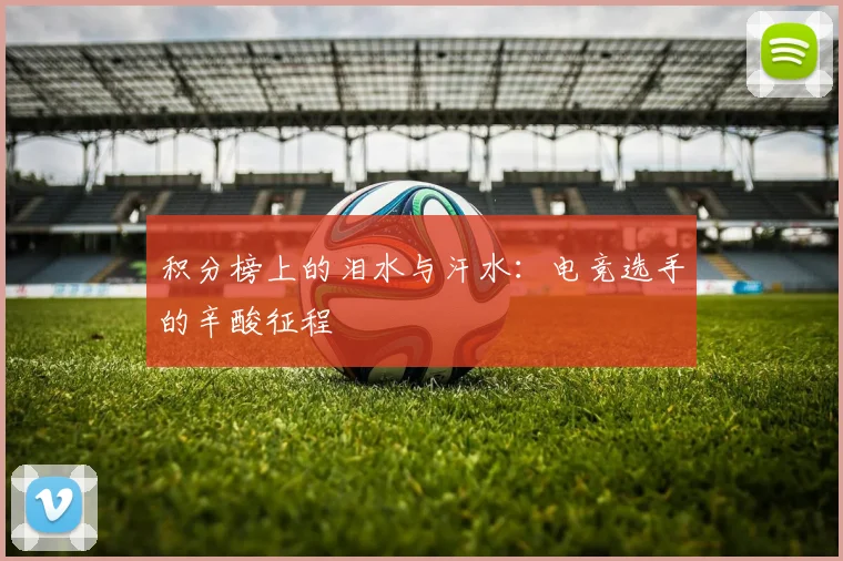 积分榜上的泪水与汗水：电竞选手的辛酸征程