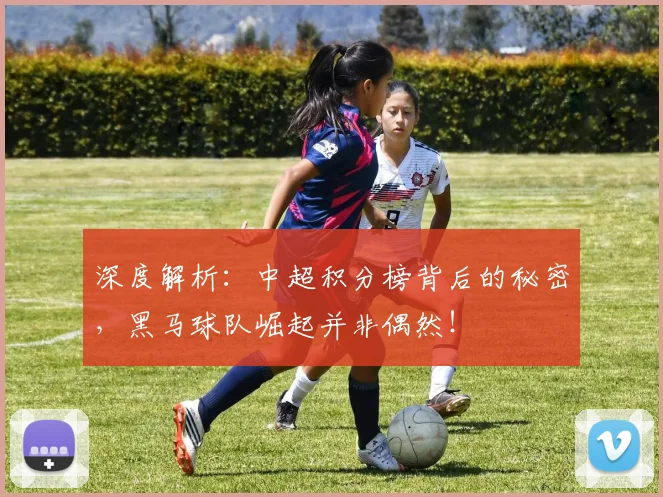 深度解析：中超积分榜背后的秘密，黑马球队崛起并非偶然！